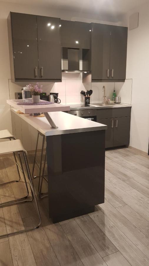 Boznicza Old Town Lux Apartment, Self Check-In 24H, Free Parking Poznań Eksteriør bilde