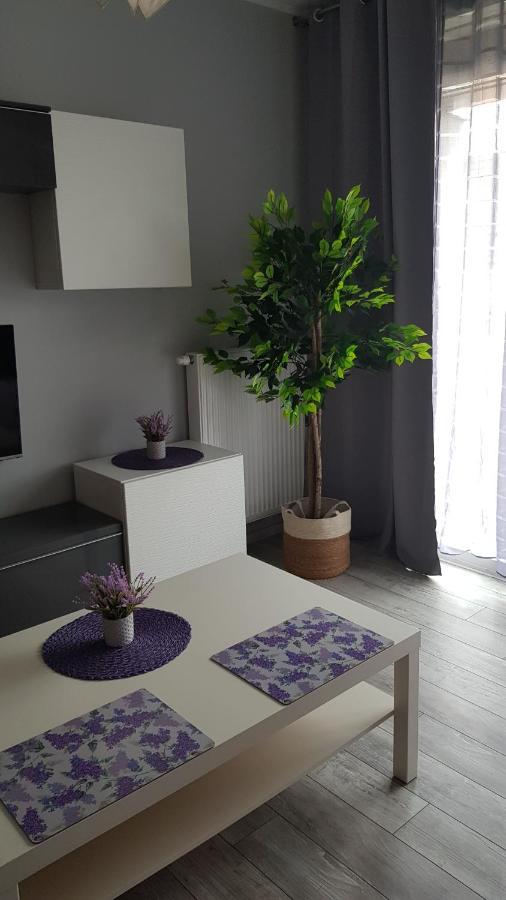 Boznicza Old Town Lux Apartment, Self Check-In 24H, Free Parking Poznań Eksteriør bilde