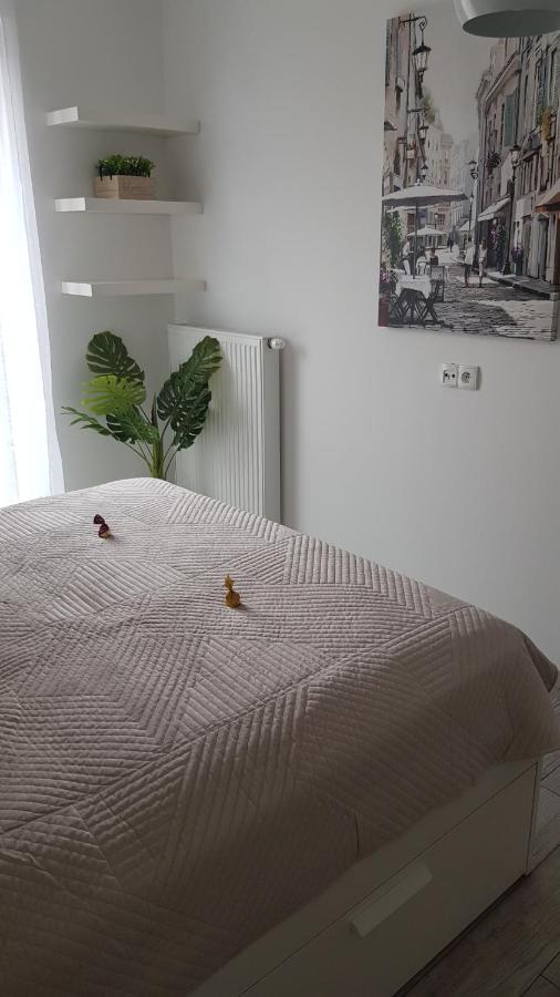 Boznicza Old Town Lux Apartment, Self Check-In 24H, Free Parking Poznań Eksteriør bilde